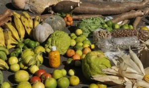 Empréstimo do BNDES para o Plano Safra será recorde de R$ 70 bilhões